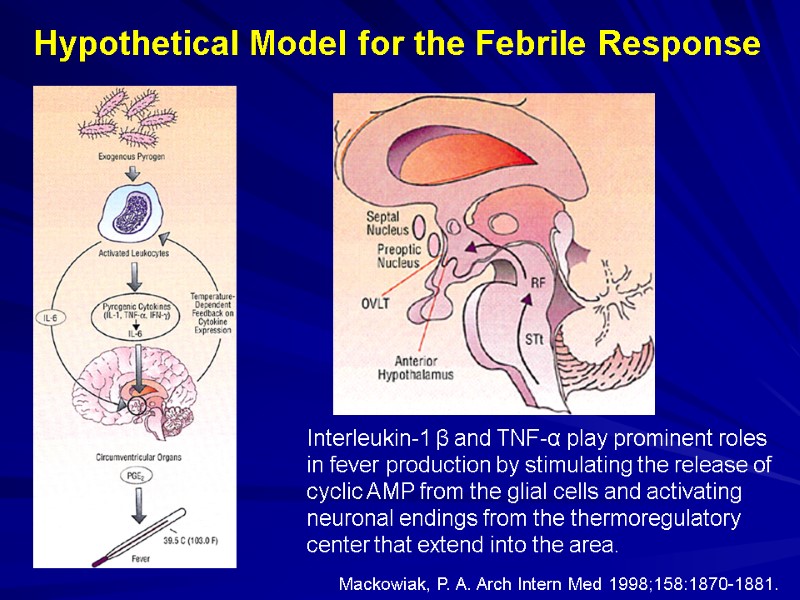 Mackowiak, P. A. Arch Intern Med 1998;158:1870-1881. Hypothetical Model for the Febrile Response Interleukin-1